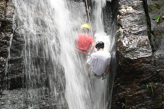 Tijuca National Park Hike and Waterfall Rappelling - Horto Falls and the former coffee farm: where the action starts
