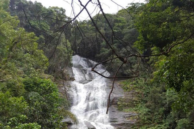 Top Tijuca Forest Private Tour with Botanical Garden - Key highlights at a glance