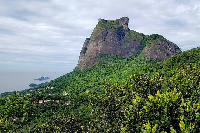 Top Tijuca Forest Private Tour with Botanical Garden - Jardim Botanico: the garden hour you’ll actually enjoy (once you factor in tickets)