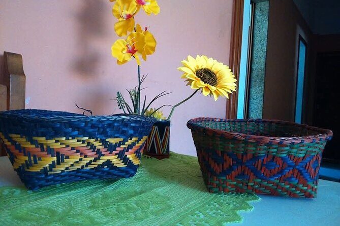 Visit Indigenous Native Guarani Village in Marica - Music and Community Moments (What to Expect in Practice)