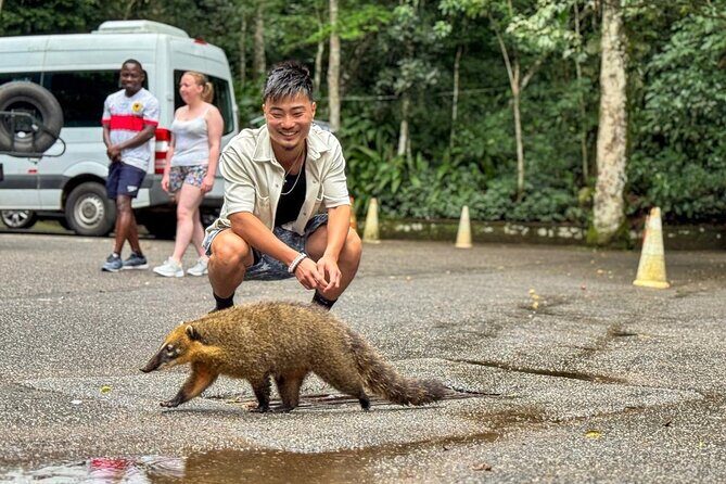 Wildlife viewing and excursion at Pedra Bonita. - Pedra Bonita trail: wildlife odds and light adventure in Atlantic Rainforest